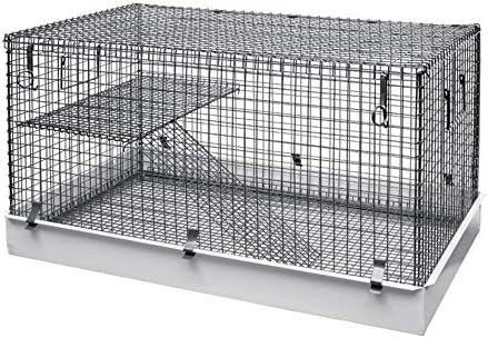 chinchilla wire cage