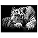 GOUPSKY New Modern Wildlife Wall Painting Animal Black and White Tiger Poster Paint on Canvas Prints Home Decorative Art Picture (16x20inchx1pcs(40x50cmx1pcs))
