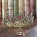 S SNUOY Baroque Crown for Women - Vintage Queen Tiara - Black