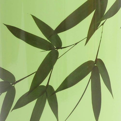 Earthlust Stainless Steel Designer Waterbottles (1 Liter Bamboo)