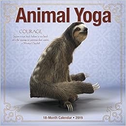 Animal Yoga 2019 Wall Calendar Willow Creek Press 9781549204494 Amazon Com Books