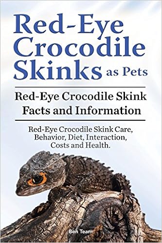 skink pet care