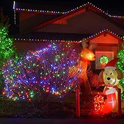 LAMPHOME Christmas String Light,100 Count