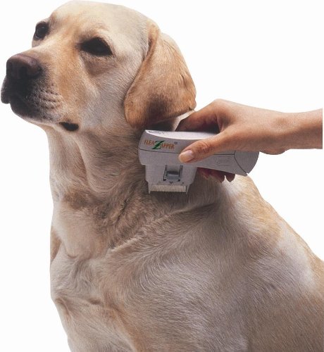 Epilady Flea Zapper Electronic Flea Comb for Dogs or Cats, Chemical and Toxin Free EP40120