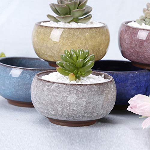 G-LEAF Succulent Plant Pot, Ceramic Cactus Planter Small Flower Pots, Chinese Style Decor Herb Plant Holder for Indoor Outdoor Home Garden Office Plant Container, (6, Coloful)