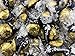 Lindt LINDOR 70% Cocoa Dark Chocolate Truffles, Gold Black Wrap (Pack of 4 Pounds)