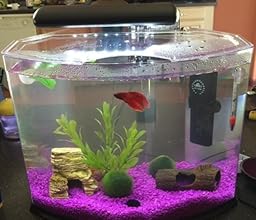 Le kit d'aquarium acrylique tetra crescent - 51  8fS6hAL. SL256 