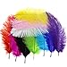 10PCS Multi Colours Artificial Feathers Arts Crafts 10