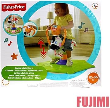 fisher price spin zebra