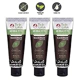 TWIN LOTUS ACTIVE CHARCOAL TOOTHPASTE HERBAL TRIPLE ACTION 100 G. PACK OF 3