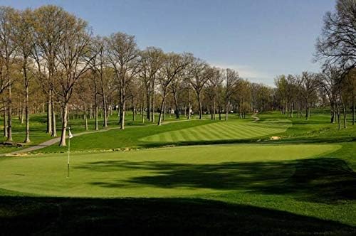 Penncross Creeping Bentgrass Seeds - 1 Lbs.