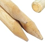 Circle of Trust 1.2 m Wooden Garden Stake 5 cm Thick Pressure Treated view 7
