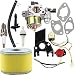 Dalom GX160 Carburetor w 17210-ZE1-505 Air Filter Tune Up Kit for Honda GX140 GX 160 GX168 GX200 5HP 5.5HP 6.5HP Engine primary