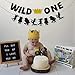 Joymee Wild One Cake Topper,Kids Boy or Girl 1st First Birthday Cake Decorations, Double Sided Handmade Glitter Decorations