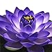 ZHU YU CHUN Large Artificial Floating Lotus Flowers, Home Garden Pond Aquarium Wedding Decor, Purple (Pack of 4)