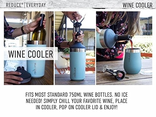 2 Portable+Wine+Bottle+Cooler+REDUCE