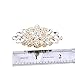ELEGANTPARK BD 2 Pcs Shoe Clips Double Layers Rhinestones Wedding Party Decoration Gold