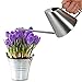 Fasmov 13.5 Oz Stainless Steel Watering Can Modern Style Watering Pot, Small Watering Can for Indoor Plants Houseplant Succulents Bonsai Office Desk Stainless Steel Mini Watering Can with Long Spout