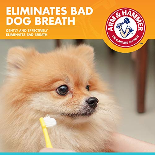 Arm & Hammer for Pets Dental Enzymatic Toothpaste for Dogs No More