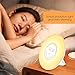 INLIFE Wake Up Light Alarm Clock Sunrise Simulation Dusk Fading Night Light with Nature Sounds, FM Radio, Touch Control and USB Charger