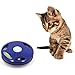 Yixiko Senses Cat Meow Toys Interactive Training Play Activity Kitten Toy Funny Blue Mouse Tail with Sound