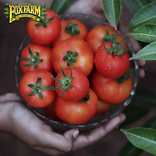 Fox Farm Bush Doctor Coco Loco Potting Soil, Coco Coir Soil Mix for