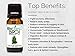 BioFinest Birch Oil - 100% Pure Birch Essential Oil - Fight Muscle & Joint Paint - Premium Quality - Therapeutic Grade - Best For Aromatherapy - FREE E-Book (10ml)