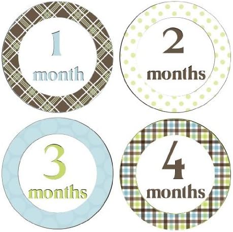 Monthly Stickers Monthly Baby Stickers Monthly Baby Boy Stickers Monthly Stickers Gingham Plaids Polka Dots Blues Greens Browns Waterproof Baby Shower Gift