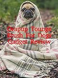Review: Orapup Tounge Brush For Dogs Gadget Review