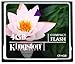 Kingston 4 GB CompactFlash Memory Card CF/4GB