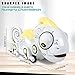 SHARPER IMAGE Color Changing RC Robotic Chameleon Toy with Multi Colored LED Lights and Bug Catching Action; Multi-Directional Remote Control & Extendable Tongue with Animated Eyes and Tail