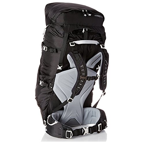 Gregory Mountain Products Denali 100 Backpack, Basalt Black, Large