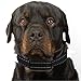 Our K9 Black Bark Collar. Medium - Large Size Dogs. . Sound and Static Shock Anti Bark Collar.
