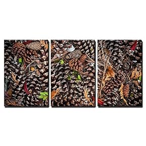 3 Piece Canvas Wall Art - Various Pine Cones on Forest Floor, View from Above - Modern Home Art Stretched and Framed Ready to Hang - 16"x24"x3 Panels