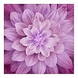 Hoffman Fabrics Digital Dream Big 42'' Floral Panel Magenta Fabric