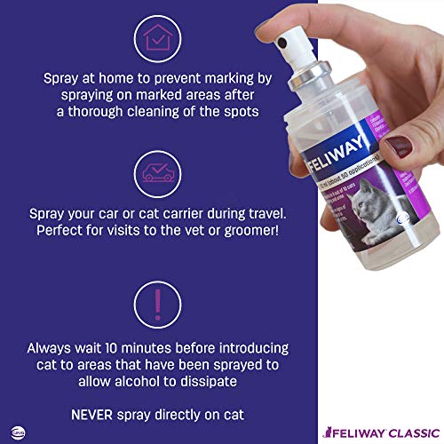 4 Feliway+Feline+Behavior+Spraying+Scratching