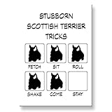 Scottish Terrier Stubborn Tricks Fridge Magnet Funny