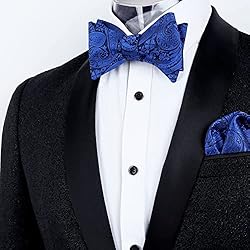 Alizeal Men Self-tied Paisley Bow Tie and Pocket