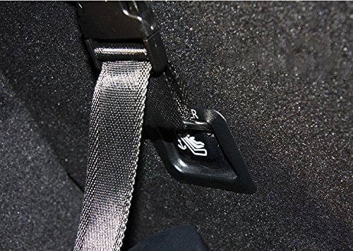 cargo net dog barrier