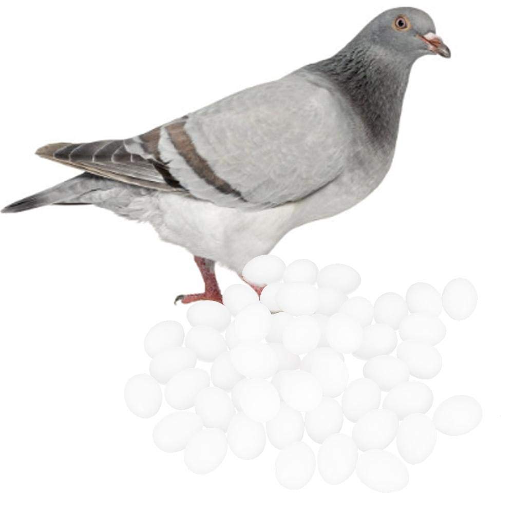Cikonielf 50 Pack Solid Plastic Dummy Eggs for Pigeons - Hatching and Breeding Supplies Fake Eggs