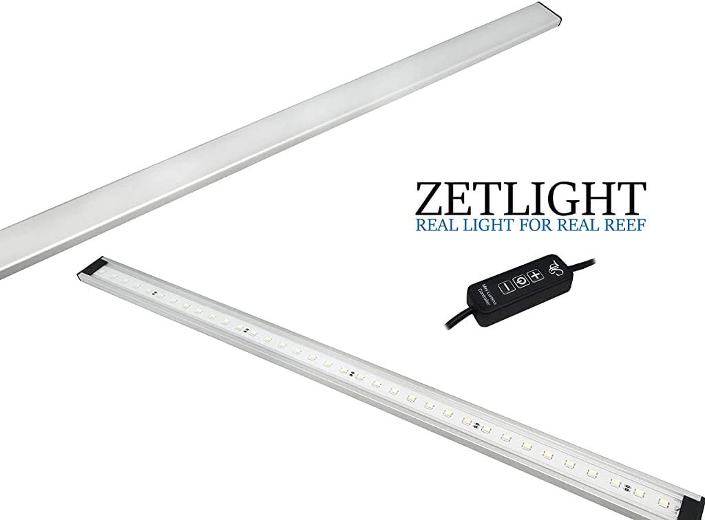 zetlight zp4000
