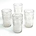 The Pioneer Woman Adeline 16-Ounce Emboss Glass Tumblers, Set of 4, Clear (2)