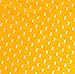 JAXU Men's Breath Hole Mini Pouch Thong Underwear XL Yellow