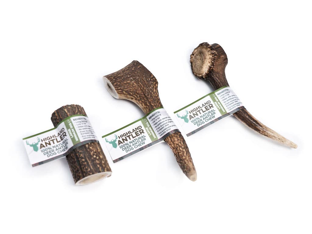 Highland Antler - Natural Antler Dog Chew. Pack of 1x Large (150-220g) Naturally Shed Red Deer Antler, Long Lasting Dog Chew Bone With Calcium And Minerals (Shape may vary)