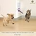 SunGrow Pretty Purple Pet Water Dispenser Bottle BPA Free, Rust Proof, Leak Proof - Dripless Stainless Steel Pipe - Keep Puppies, Cats, Bunnies and Other Small Animals hydrated: Easy to Install