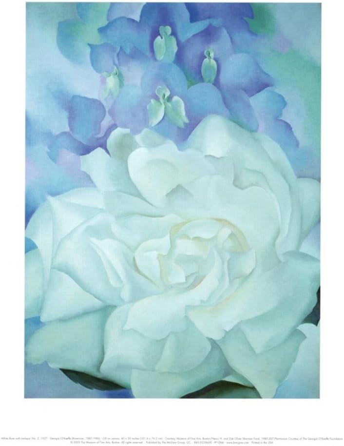 White Rose with Larkspur Art Print by Georgia O'Keeffe, Overall Size: 11x14, Image Size: 8.25x11.25