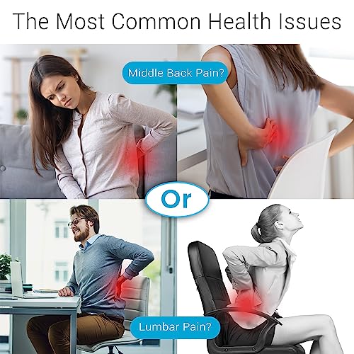 Lumbar Support Pillow for Office Chair Lumbar Pillow for Car Memory
