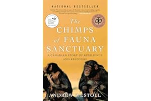 Chimps Of Fauna Sanctuary: A Canadian Story of Resilience and Recovery