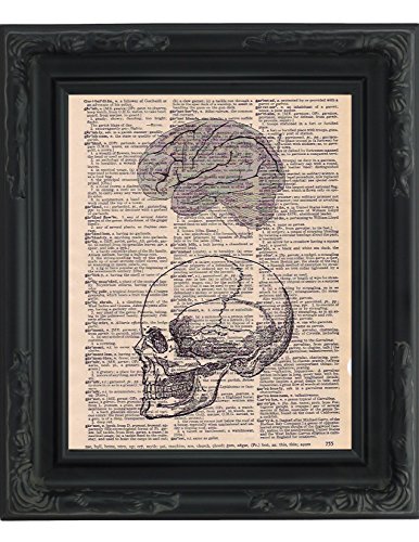 Fresh Prints of CT Dictionary Art Print - Anatomical Skull and Brain - 8"x10.5" - Mixed Media Poster Printed on Vintage Dictionary Page