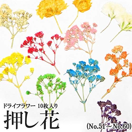 押し花 ドライフラワー 51 60 10枚入り お値打ち価格で 147 55 ピンク系